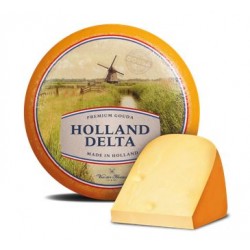 CASEUS SER GOUDA HOLLAND...