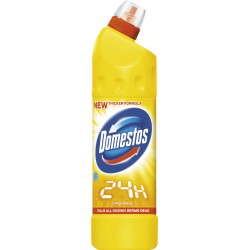 CH.DOMESTOS 750ml CITRUS...