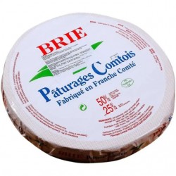 CASEUS SER BRIE 1kg.