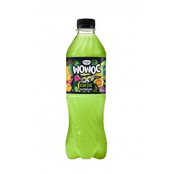 Hortex Wowoc Kaktus Melon...
