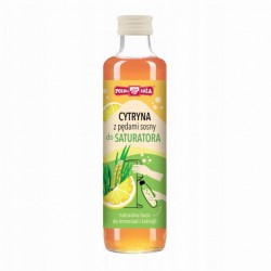 POLSKA RÓŻA  250ml SYROP...