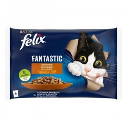 FELIX Fantastic...