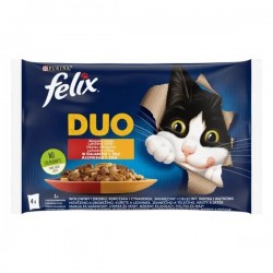 FELIX Fantastic duo...