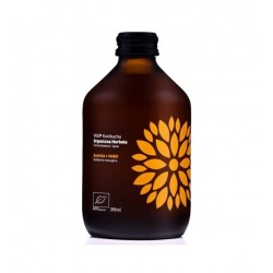 BIO Vigo kombucha imbir...