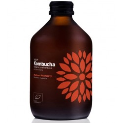 BIO Vigo kombucha malina +...