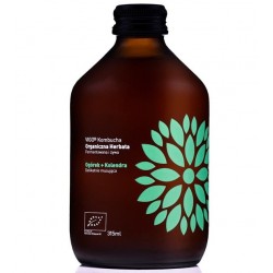 BIO Vigo kombucha ogórek +...