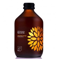 BIO Vigo kombucha yerba...
